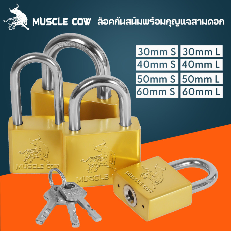 MUSCLE COW แม่กุญแจสีทอง พร้อมลูกกุญแจ 3 ดอก ล็อคแขวนและล็อคประตู ขนาด 30mm, 40mm, 50mm, 60mm แบบยาวและสั้น
