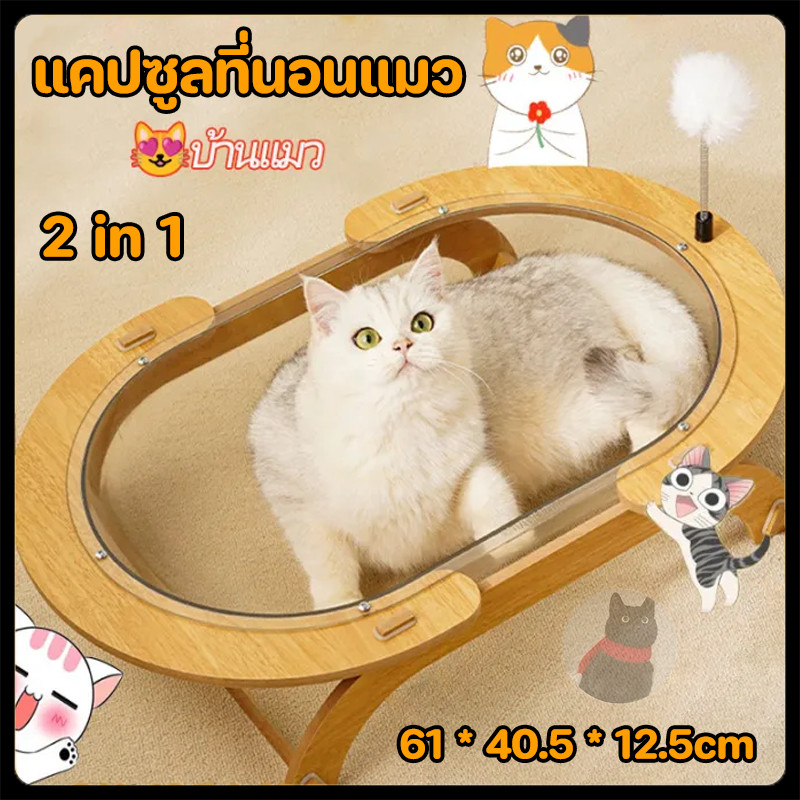 แคปซูลที่นอนแมวพร้อมอ่างอาบน้ำใสพร้อมปอมปอม เฟอร์นิเจอร์แมว ที่นอนแมว อพาร์ทเมนต์ วัสดุอะคริลิกสำหรับแมว