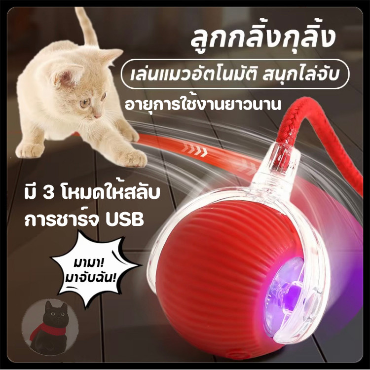 🐱ลูกบอลแมว บอลแมวอัตโนมัติ ชาร์ตแบตได้ ของเล่นแมว สมาร์ทไฟฟ้า หมุนได้ ของเล่นแมวโต้ตอบ ของใช้แมว