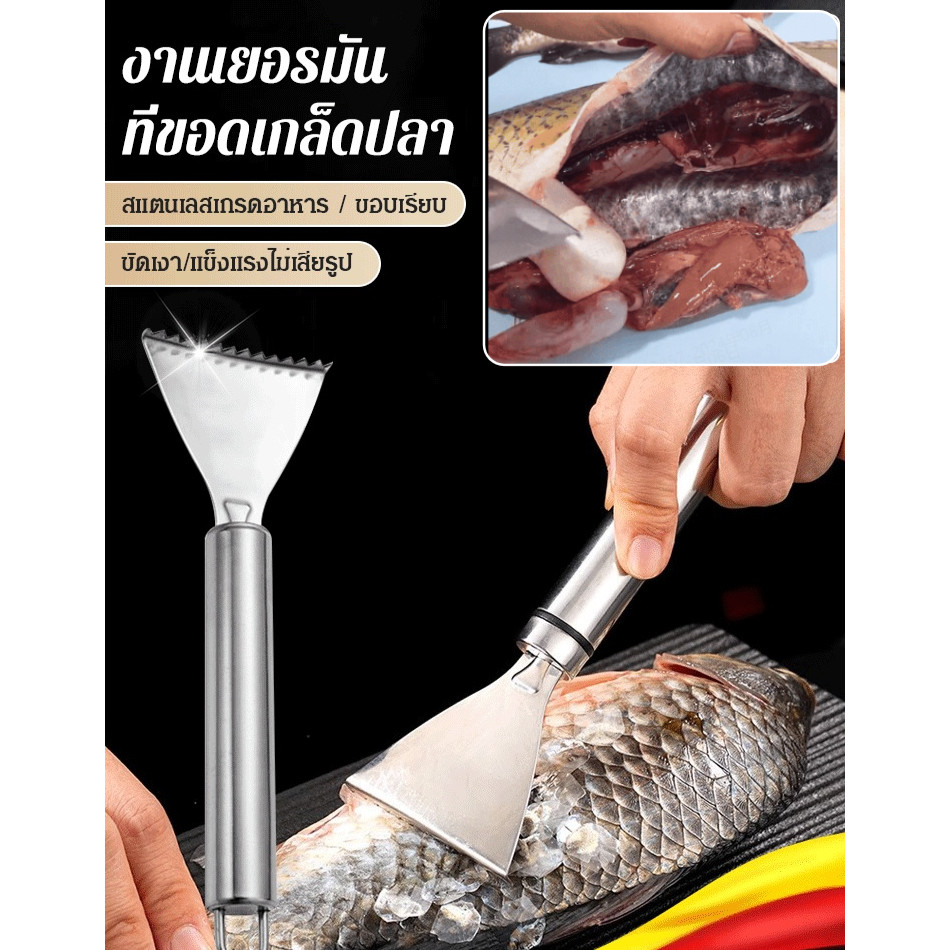 【ขายร้อน】[เรียบ 3 วินาที] เครื่องไสเกล็ดปลาสแตนเลส ที่ขอดเกล็ดปลาสแตนเลส fish skin scale removal เอาเกล็ดปลาออก