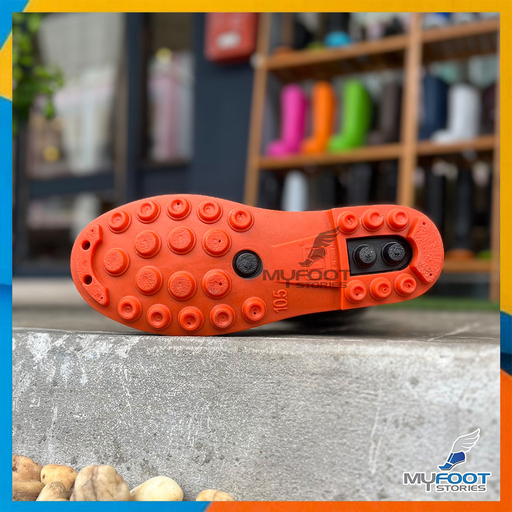 รูปภาพ 6