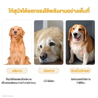 MOMOVIDA ของเล่นสำหรับสุนัข ทรงคีมปากกว้าง/ค้อน/ขวาน/สมอ ทนต่อการกัด ช่วยขัดฟัน ทําความสะอาดฟัน สําหรับสัตว์เลี้ยง