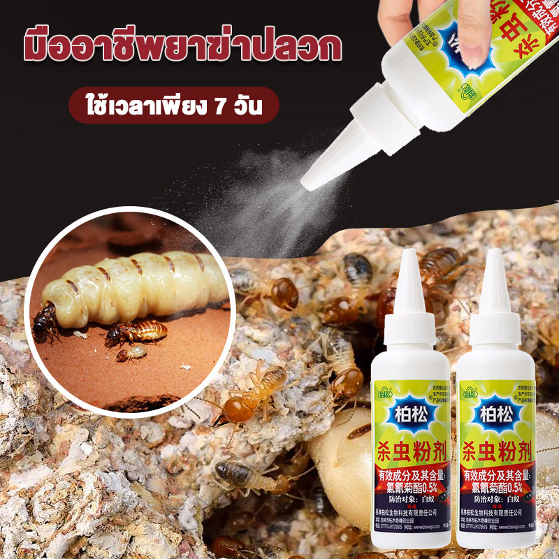 เหยื่อกำจัดปลวก ยาปลวก ได้ผล 100% เหมาะสําหรับห้องครัวและห้องนอน