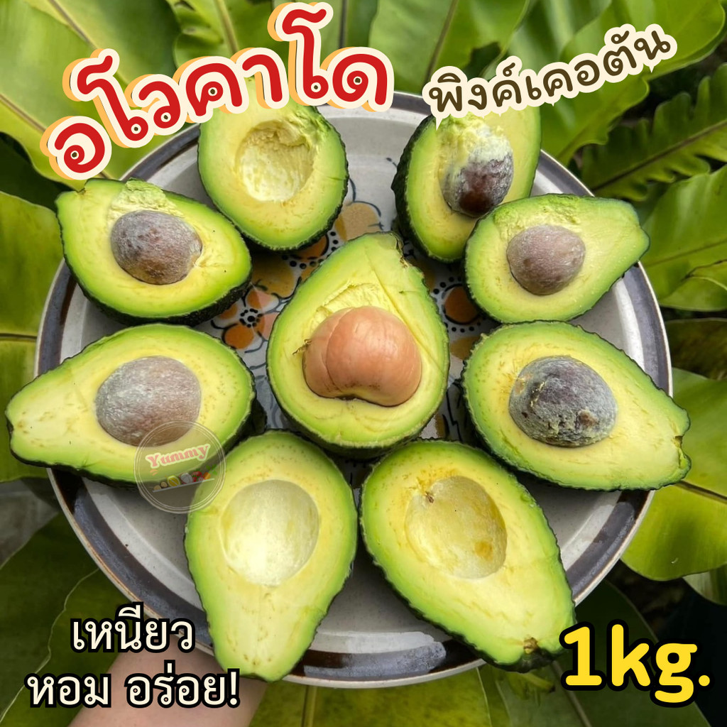 PWshop [1กิโล] อโวคาโด ⚡ Avocado พิงค์เคอตัน 🥑 อาโวคาโด้ แก่จัด เนื้อแน่น เหนียว อร่อย เก็บสดใหม่จากสวน เสียเคลมได้ อะโว
