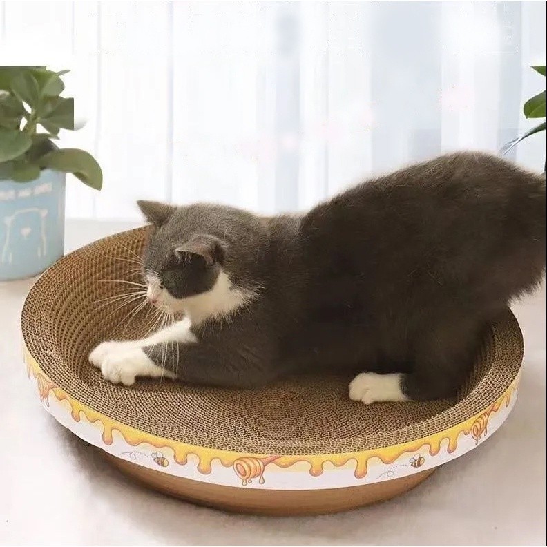 รูปภาพ 7