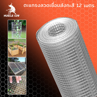 MUSCLE COW ลวดตาข่าย ชุบกัลวาไนซ์ ตาข่ายกรงไก่ ตาข่ายกรงนก ตะแกรงปูผนัง ตาข่ายลวด ลวดเหล็ก รั้วตาข่าย กันงู กันหนู ดักสั
