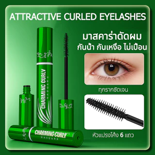 YTL Shening 5D Curling มาสคาร่าสีดํากันน้ํา Smudge Proof 24H สวมใส่ธรรมชาติ Extension Ultra Volumizing