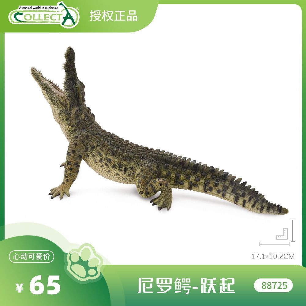 British CollectA Animal Model [88725 Nile Crocodile-Leap] Childrens Cognitive Early Education Toys