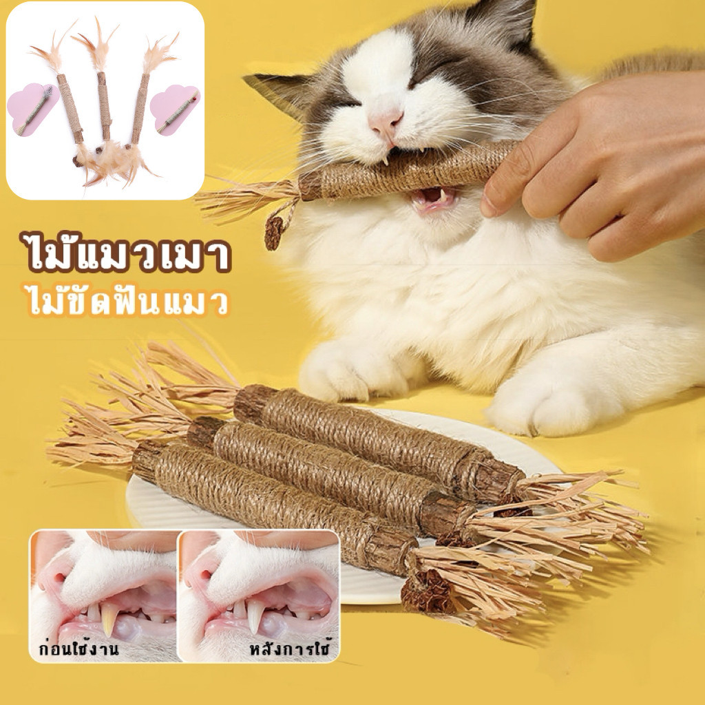 ขายส่ง ของเล่นทําความสะอาดฟัน สําหรับสัตว์เลี้ยง แมว