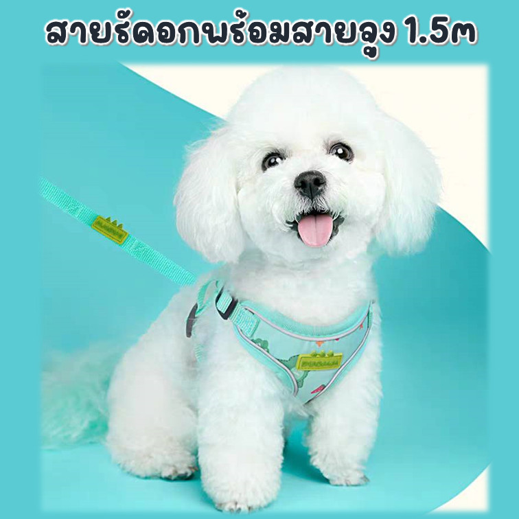 DUOMM สายจูงหมา-แมว ลายการ์ตูน สายรัดอกแมว สามารถปรับระดับได้