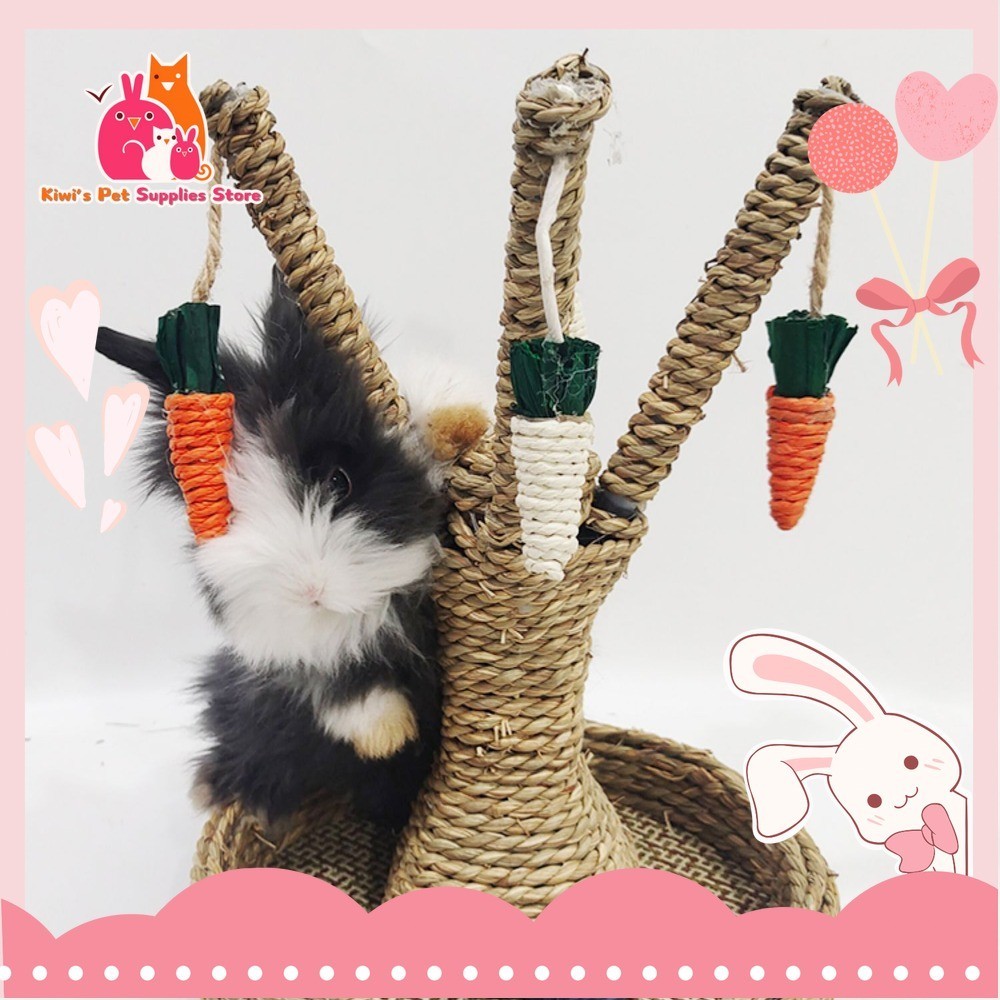 ของเล่นสัตว์เลี้ยงขนาดใหญ่กับรังบวบเสียบไม้ของเล่นสัตว์เลี้ยงกระต่าย/แมวขนาดใหญ่แครอทต้นไม้แพ็คกระต่ายของเล่นรังบวบเสียบไม้ของเล
