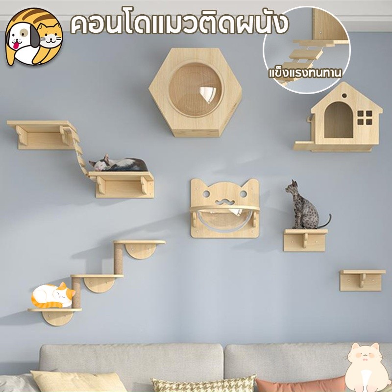 😸กล่องแมวติดผนังDIY คอนโดแมวติดผนัง คอนโดแมว ติดผนัง เสาลับเล็บ หลุมอวกาศ ติดตั้งง่าย