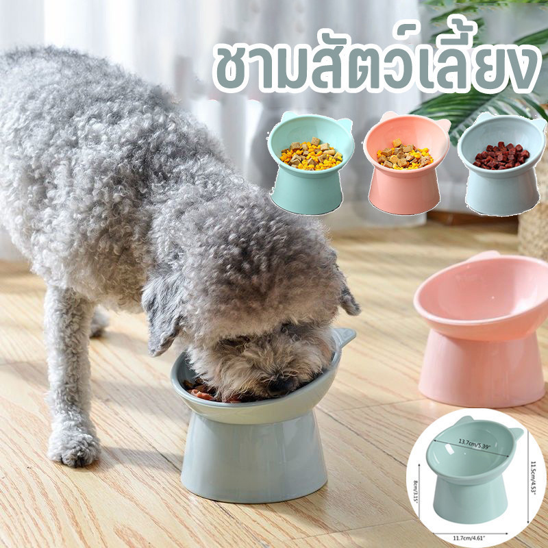 ชามสัตว์เลี้ยง ทรงเอียง ชามอาหารหมา ที่ใส่อาหารสัตว์เลี้ยง เอียง 15 องศา หลายสี