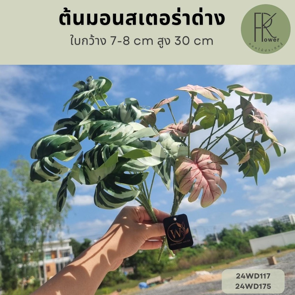 ต้นมอนสเตอร่าด่าง 13 ก้าน มอนสเตอร่าเสมือนจริง ต้นไม้ปลอม