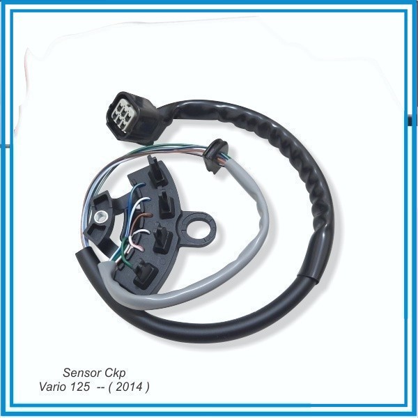 Vario 125 Ckp Sensor -- (2014)