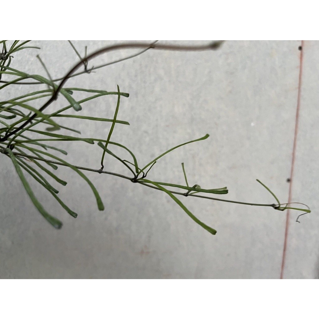 มุมมอง 3