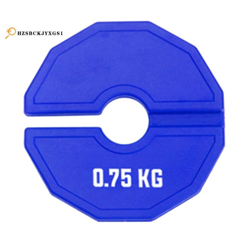 Gym Micro-Type Rubber Weights - Fractional Add-ons for Strength Training