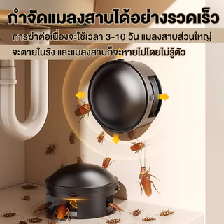 ยากำจัดแมลงสาบ ชิ้น กำจัดแมลงสาบ บ้านแมลงสาบ ที่ดักแมลงสาบ Black cap บล็อคแคปซูลฆ่าแมลงสา