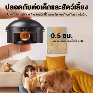 ยากำจัดแมลงสาบ ชิ้น กำจัดแมลงสาบ บ้านแมลงสาบ ที่ดักแมลงสาบ Black cap บล็อคแคปซูลฆ่าแมลงสา