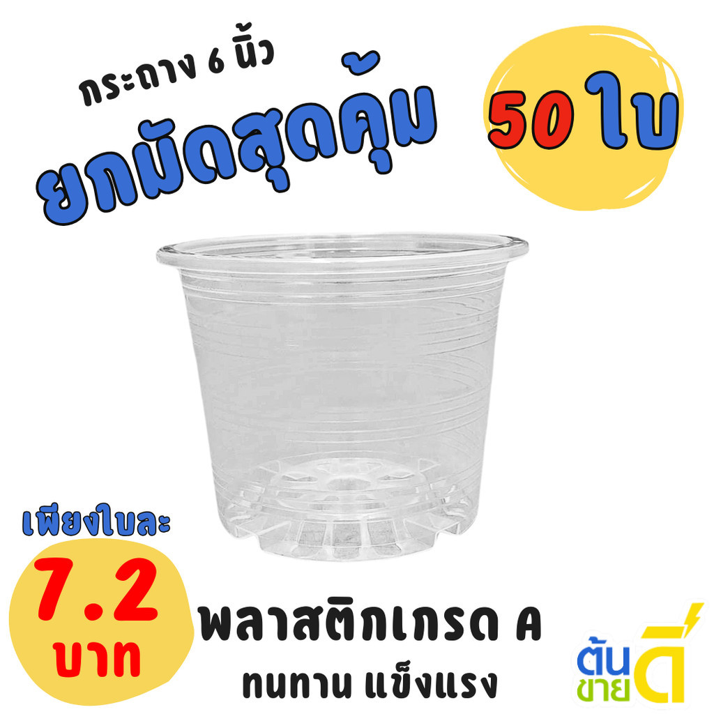 กระถาง กระถางต้นไม้ กระถางใส เบอร์ 6 นิ้ว Bundle 50 ใบ ชิ้น อัน