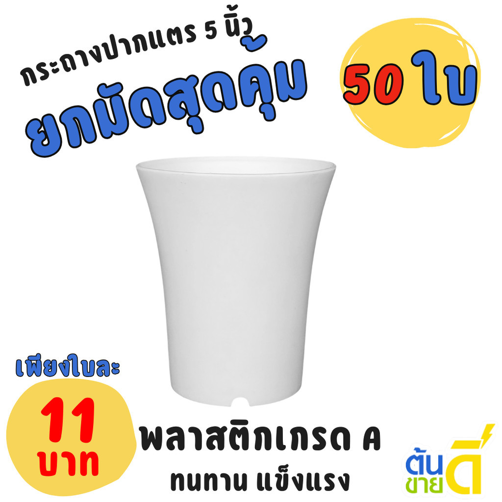 กระถาง กระถางแคคตัส กระถางปากแตร 5 นิ้ว สีขาว Bundle 50 ใบ ชิ้น อัน