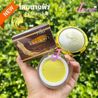 ครีมโสมนางฟ้า จันทร์เจ้า ไนท์ครีม ( ยกโหล 12 กล่อง ) Chanchao Som Nang Fah Collagen ครีมกลางคืน 20 g.