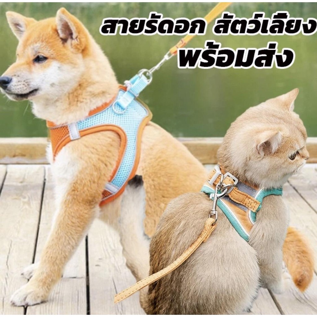 เสื้อรัดอก เสื้อกั๊ก มีเชือกจูง สายรัดอกสุนัข หมา แมว สายจูงสัตว์เลี้ยง ปลอกคอ แข็งแรงยืดหยุ่น พร้อมส่ง