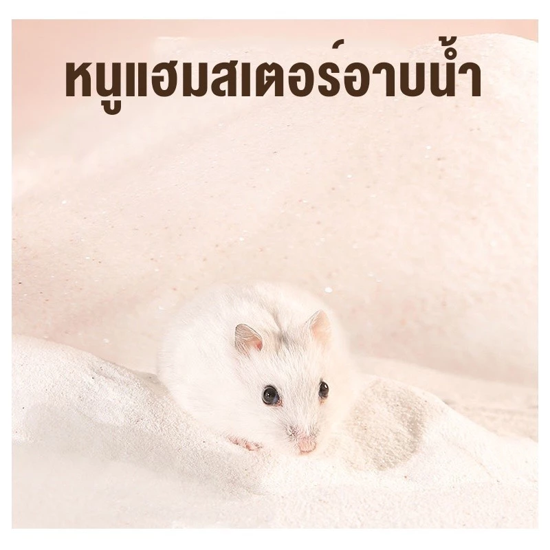 ✈️สินค้าอยู่ในไทย พร้อมส่ง✈️ห้องน้ำหนูแฮมสเตอร์ ห้องนอนหนูแฮมสเตอร์ ห้องน้ำเม่นแคระ thumbnail 6