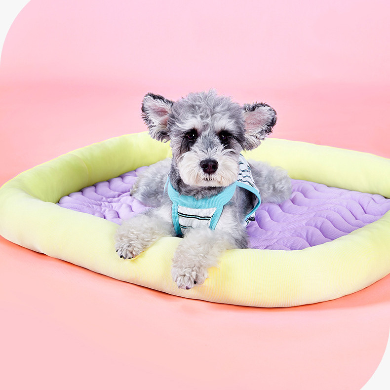 CheesePet เบาะสัตว์เลี้ยงแบบเย็นสบาย เตียงแมว เตียงสุนัขขนาดเล็ก ใช้งานได้ทุกฤดู ราคา ถูกที่สุด ดีลบีเคเค แกลเลอรีภาพที่ 3
