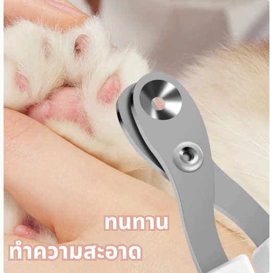 ✂กรรไกรตัดเล็บแมว😻กรรไกรตัดเล็บสัตว์ ทรงกลม ป้องกันการตัดไปที่เส้นเลือดของแมว สุนัข แมว - รูปที่ 6