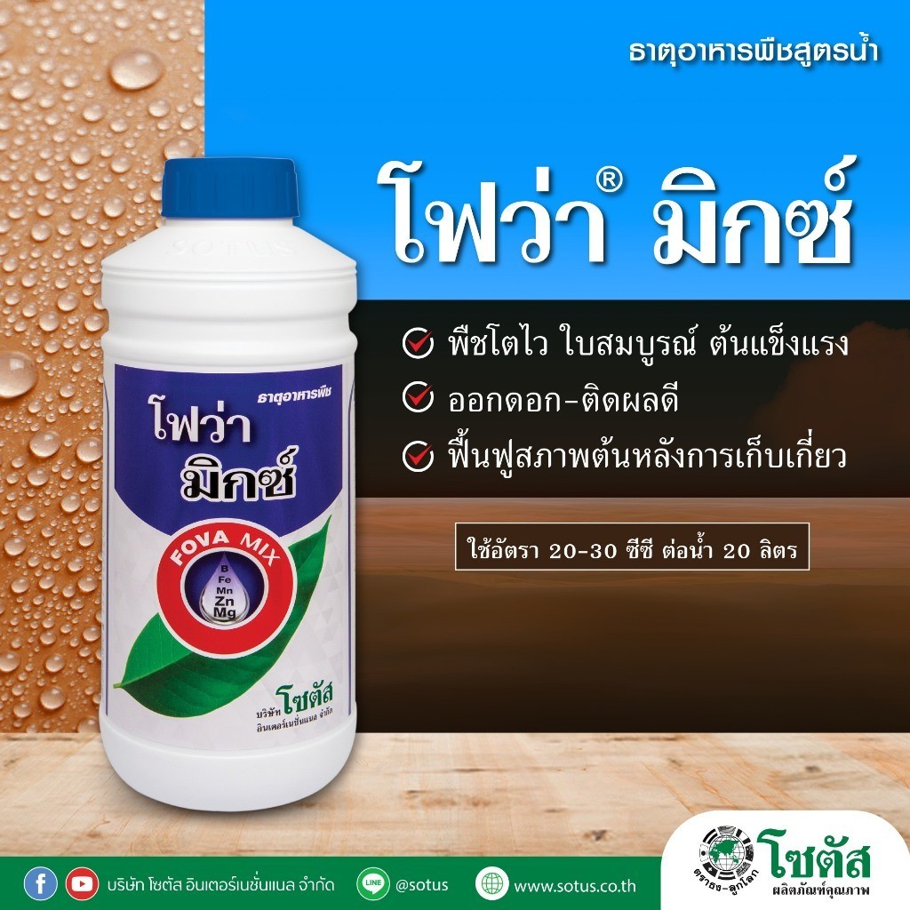 [1ลิตร][โซตัส] โฟว่า มิกซ์ 1 ลิตร พืชโตไว ใบสมบูรณ์ ต้นแข็งแรง ออกดอก ติดผลดี เห็นผลเร็ว