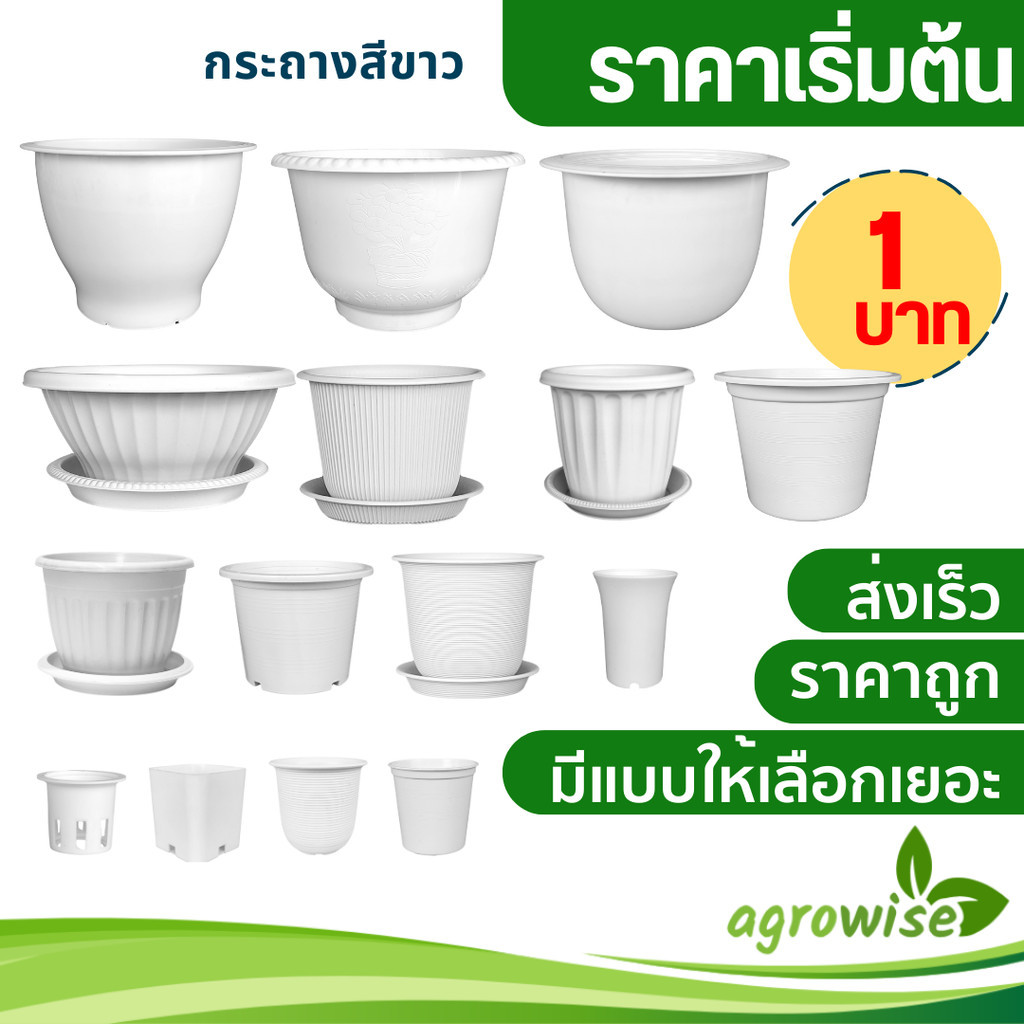 กระถาง กระถางต้นไม้ กระถางพลาสติก เบอร์ 2 2.5 3 4 5 5.7 6 7.5 8 9 10 12 นิ้ว สีขาว