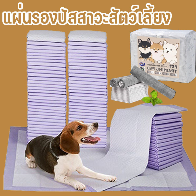 แผ่นรองปัสสาวะสัตว์เลี้ยง แผ่นรองผ้าอ้อม หนาขึ้น ดูดซับน้ำ ระงับกลิ่นกาย ถ่านไม้ไผ่ ใช้แล้วทิ้ง