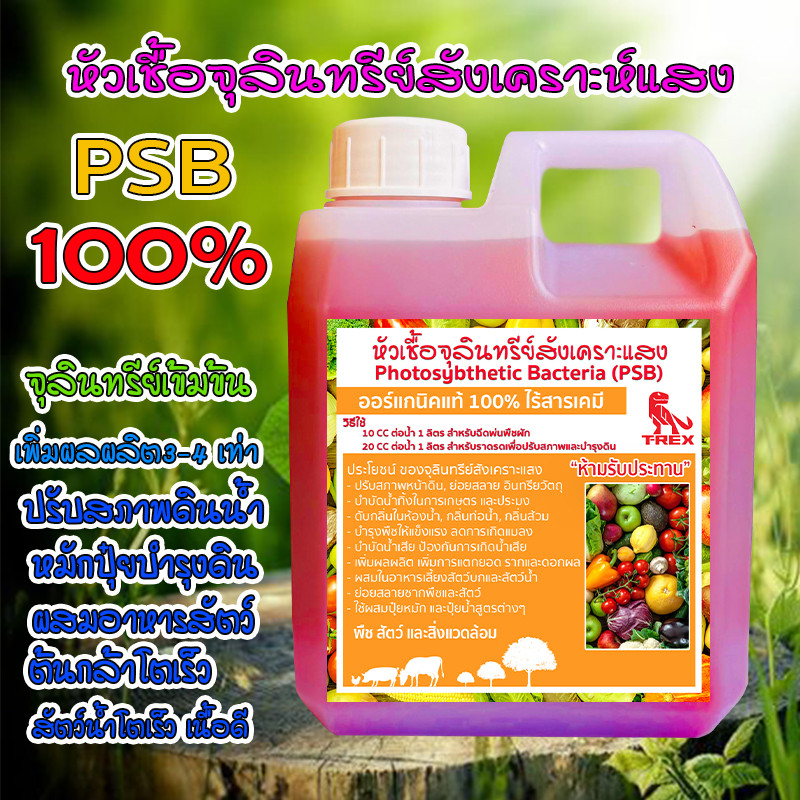 จุลินทรีย์ PSB ใช้ในบ่อปลา สูตรเข้มข้น ช่วยบำบัดน้ำเสีย บำรุงต้น ผล ใบ ขยายได้"