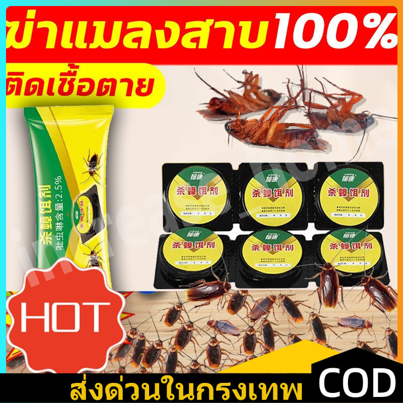 【จัดส่งฟรี】ที่ดักเหยื่อยาฆ่าแมลงสาบ 100% กําจัด ฆ่ายกรัง มีกาวในตัว ติดเชื่อตาย 1ตัวเป็นพิษ กำจัดแมลงสาบ