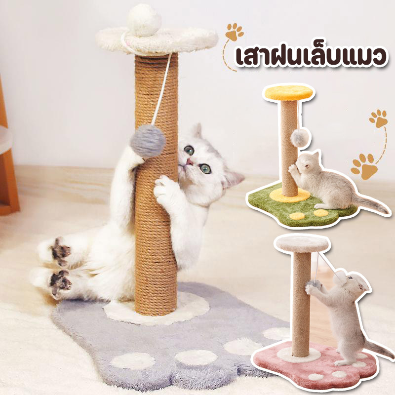 คอนโดแมว ที่ฝนเล็บแมว เสาฝนเล็บแมว เสาลับเล็บแมว ที่ลับเล็บแมว ที่ฝนเล็บแมว 2 ชั้น