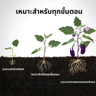สารอาหารสำหรับพืช 18 ชิ้น / ปุ๋ยแท่ง ละลายช้า เร่งโต เร่งงาม ผลไม้ และผัก ส่งจากไทย
