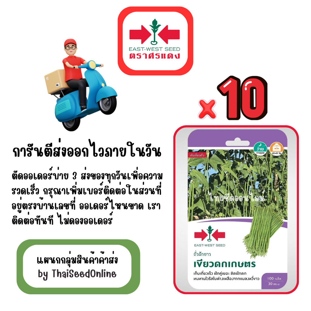 GG x 10 เมล็ดผักซองศรแดง เขียวดกเกษตร ถั่วฝักยาว สินค้ายกแพ็ค