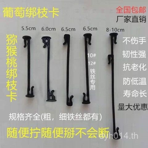 Tying สาขาต้นไม้ Tying องุ่น Tying สาขาการ์ด Tying สาขาการ์ด Kiwi องุ่น Kiwi คลิป Tying AB9B