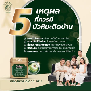 ครีมบัวหิมะสูตรเข้มข้น สำหรับทาแผลและผิวอักเสบ Madame Louise Snow Lotus รับประกันของแท้ by Purefitstore