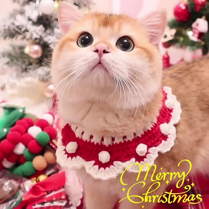 คริสต์มาสสัตว์เลี้ยงน่ารักแต่งตัวแมวสุนัขขนสัตว์ปรับถักเอี๊ยมน้ําลายผ้าขนหนูเครื่องประดับ