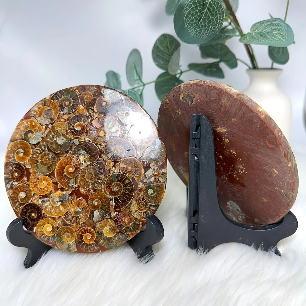 จานหิน Ammonite Shell Jasper - สีน้ําตาลธรรมชาติ/เบจ/ทอง/ดํา/เทา/ขาว/แดง/ส้ม/ จานแร่พร้อมฟอสซิล Ammo