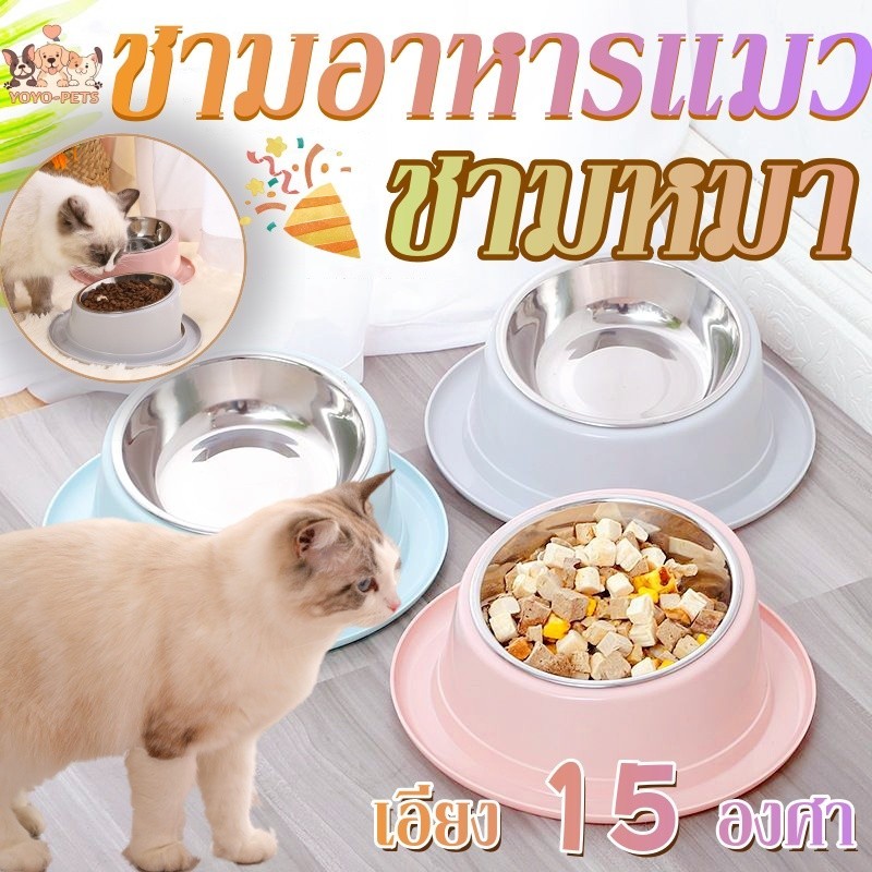 😻พร้อมส่ง 🐶ชามแมวยกสูง ชามอาหารแมว ชามหมา ที่ใส่อาหาร กันมด มีช่องใส่น้ำ อียง15 องศา