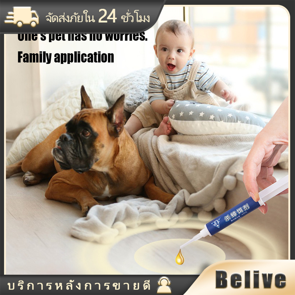 10g*5ชิ้น ยาฆ่าแมงสาบ เจล กำจัดแมลงสาบ ตายยกรัง ฆ่าเหยื่อ