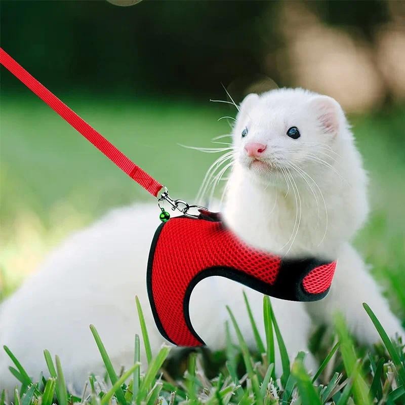 ตาข่ายระบายอากาศ Ferret Bunny Harness Leash ชุดสําหรับสัตว์เล็กกระต่ายหนูแฮมสเตอร์ฤดูร้อนเดิน Breathable ตาข่ายสายรัดสัตว์เลี้ยง