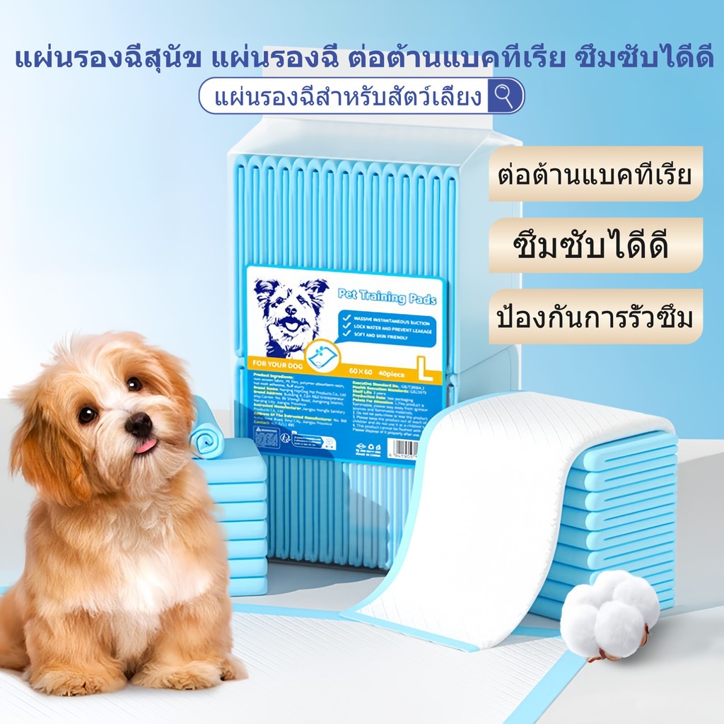 แผ่นรองฉี่สุนัข แผ่นรองฉี่ ต่อต้านแบคทีเรีย ซึมซับไดีดี แผ่นรองฉี่สำหรับสัตว์เลี้ยง ช่วยฝึกขับถ่าย ผิวสัมผัสดี ซึมซับไว