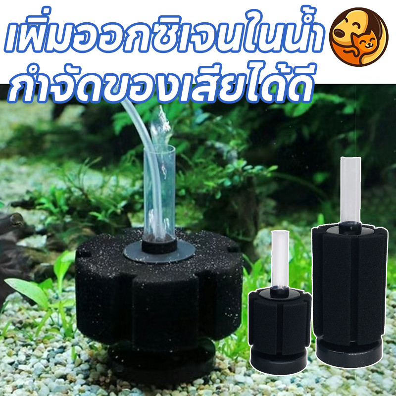 พร้อมจัดส่ง ตัวกรองตู้ปลา กรองฟองน้ำ ตัวกรองฟองน้ำสำหรับตู้ปลา กำจัดของเสียได้ดี เพิ่มออกซิเจนในน้ำ