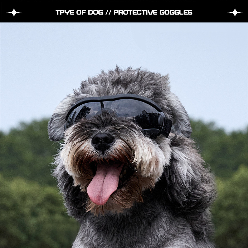 รูปภาพ 6