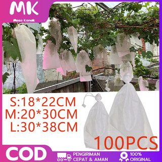 100PCS/200PCS  Fruit Cover/Pembungkus Buah/Fruit Cover Anti Serangga/Kantong Jaring Pembungkus/Buah Anggur/ Klengkeng/ Strawberry Dll/ Pembungkus/Fruit Cover Khusus Buah Klengkeng, Nangka, Pisang, Brongsong Buah Size Jumbo