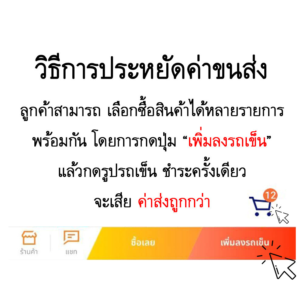รูปภาพ 4